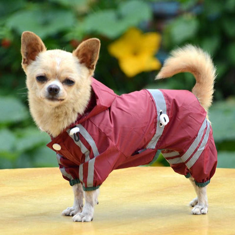 Newly Dog Raincoat Waterproof
