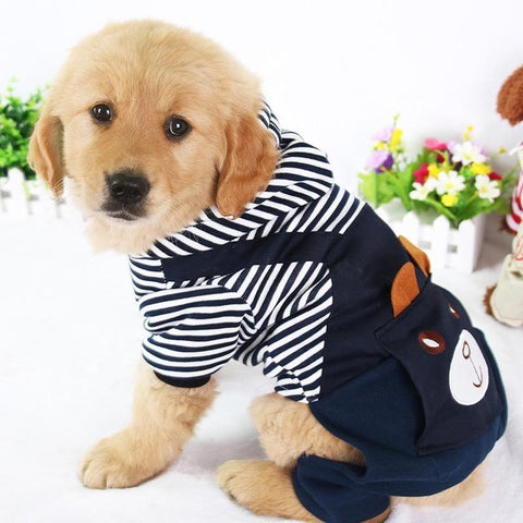 Fashion Pet Dog