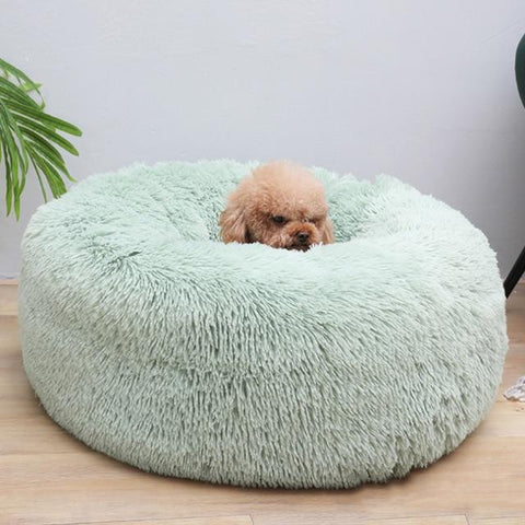 Sleep Luxury Soft Plush Dog Bed