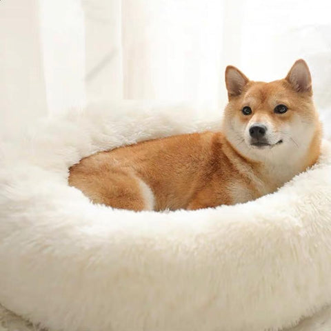 Soft Cat Dog Bed