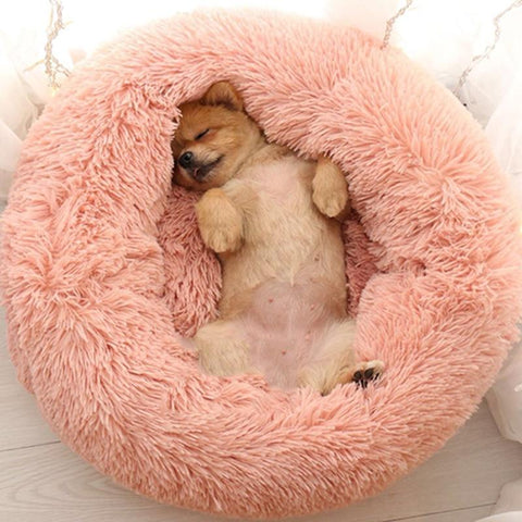 Sleep Luxury Soft Plush Dog Bed
